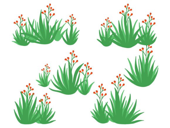 Bushes Grass with Flowers Illustration for Graphics and Branding